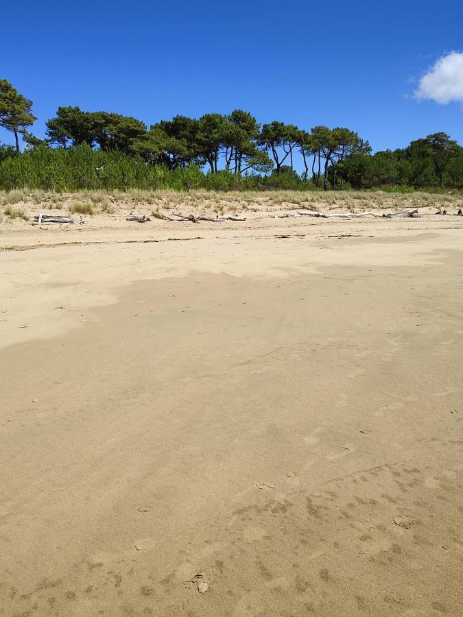 Idealement Situe, Tout A Pied, 60M2 Saint-Georges-de-Didonne Esterno foto